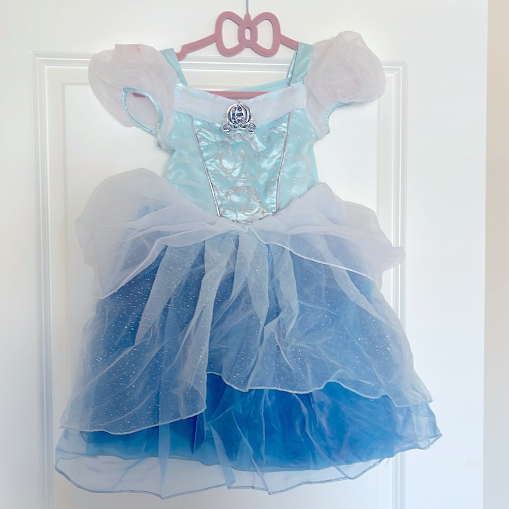 Cinderella Dress and Wig